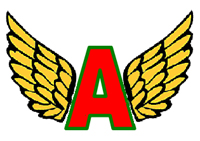 Ballistic Angels team badge